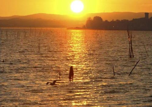 B&B Emporio 
B&B Emporio