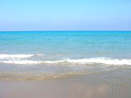 This photo about Le Monte Carlo shared on HyHotel.com