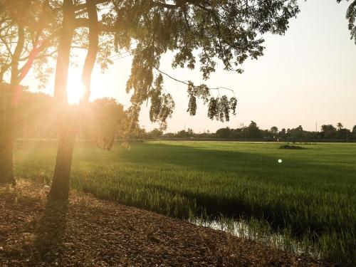 Nai Suan Inn in Doem Bang Nang Buat Nai Suan Inn in Doem Bang Nang Buat