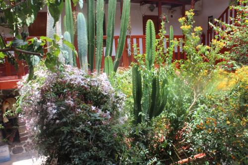 This photo about Kuychipunku Hostal shared on HyHotel.com