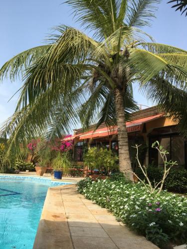 Cảnh quan, Le Dakan in Saly Cảnh quan, Le Dakan in Saly