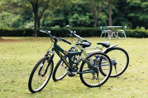 Sports and activities, Watarase Onsen Hotel Yamayuri in Tanabe Sports and activities, Watarase Onsen Hotel Yamayuri in Tanabe