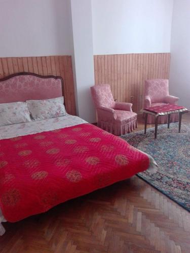 Hotel Alfredo Hostel