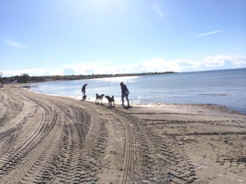 Beach, Farbror Alfreds Boende Sjoutsikt in Kopingsvik Town Center Beach, Farbror Alfreds Boende Sjoutsikt in Kopingsvik Town Center