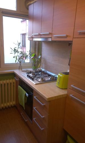 ห้องอาหาร, Green Apartment in โอดอร์ไฮเซคุซ ห้องอาหาร, Green Apartment in โอดอร์ไฮเซคุซ