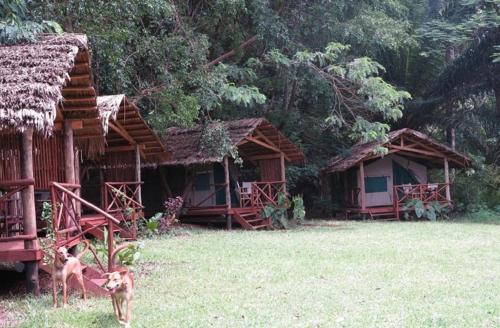 Garden, Simbamwenni Lodge and Camping in Morogoro Garden, Simbamwenni Lodge and Camping in Morogoro