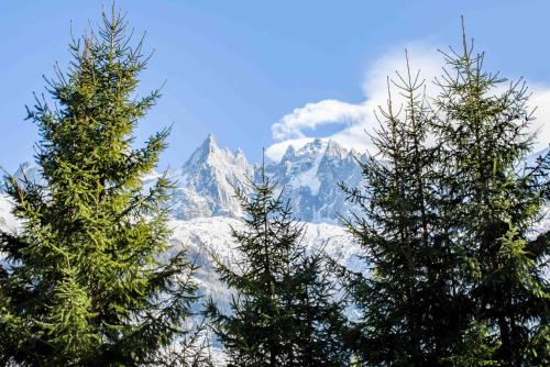 View, Chalet La Source - Chamonix All Year in La Frasse View, Chalet La Source - Chamonix All Year in La Frasse