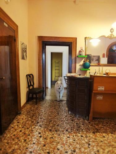 This photo about YOUTH VENICE PALACE shared on HyHotel.com