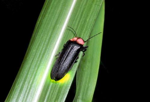 This photo about Asahiya Ryokan shared on HyHotel.com