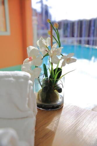 Swimming pool, Privilege Appart-Hotel Domaine De Mai - parking gratuit in Mougins Swimming pool, Privilege Appart-Hotel Domaine De Mai - parking gratuit in Mougins