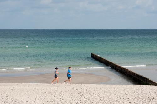 Beach, Hotel-Marks-Garni in Zingst Beach, Hotel-Marks-Garni in Zingst