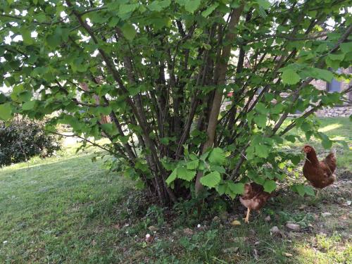 This photo about Agriturismo Solaia shared on HyHotel.com