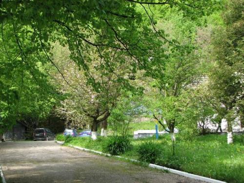 This photo about Lumshory shared on HyHotel.com