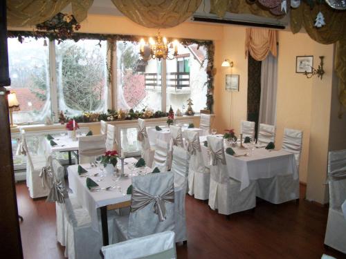 ห้องอาหาร, โฮเต็ลวิคทอเรียเรสเทอรอง (Hotel Viktoria Restaurant) in บาลาโตนัลมาดิ ห้องอาหาร, โฮเต็ลวิคทอเรียเรสเทอรอง (Hotel Viktoria Restaurant) in บาลาโตนัลมาดิ