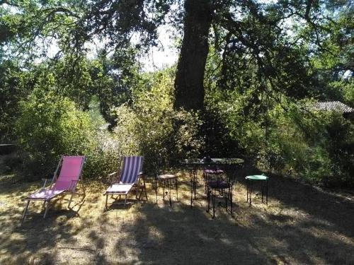 This photo about L'Atelier du Grison shared on HyHotel.com