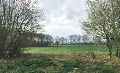 View, Fietsboerderij in Sinderen View, Fietsboerderij in Sinderen