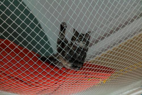 This photo about B&B Bellini L'Originale shared on HyHotel.com