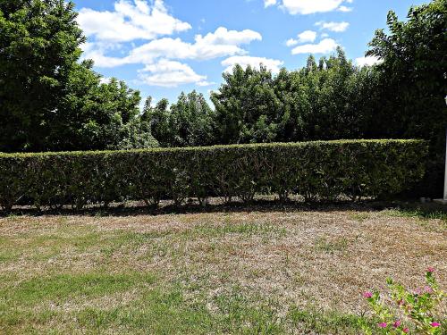 This photo about Windsong Guest Apartments shared on HyHotel.com