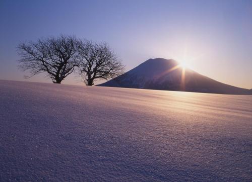 Niseko Prince Hotel Hirafutei in Niseko Niseko Prince Hotel Hirafutei in Niseko
