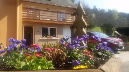 Instalaciones, Le Wineck in Niederbronn-les-Bains Instalaciones, Le Wineck in Niederbronn-les-Bains