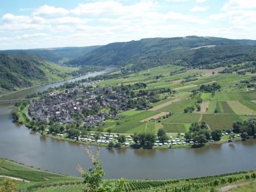 Surrounding environment, Luxurious Apartment in Kinheim in Idyllic Vineyards in Kinheim Surrounding environment, Luxurious Apartment in Kinheim in Idyllic Vineyards in Kinheim