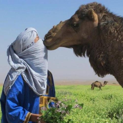 This photo about Riad De Reve shared on HyHotel.com