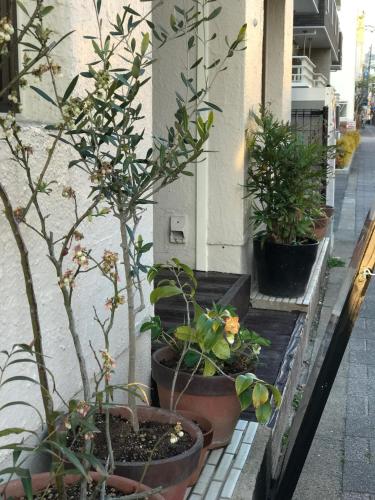 外觀, 佐賀國際民宿葉隱 (Saga International GuestHouse Hagakure) in 佐賀 外觀, 佐賀國際民宿葉隱 (Saga International GuestHouse Hagakure) in 佐賀
