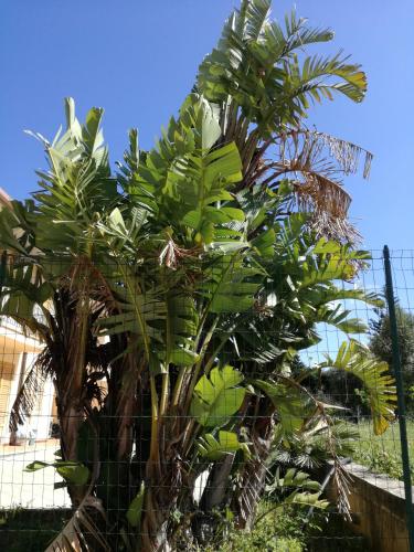 Molinello Station
Molinello Station