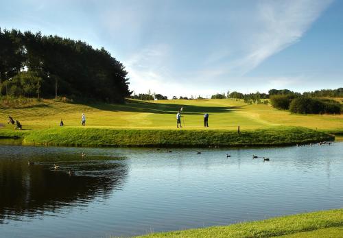 padang golf (di lokasi), The Fitzwilton Hotel in Waterford padang golf (di lokasi), The Fitzwilton Hotel in Waterford