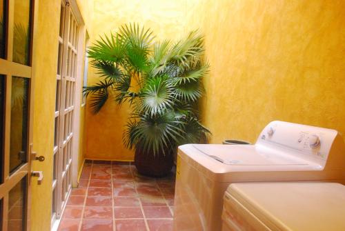 This photo about Casa Colonial Cozumel shared on HyHotel.com