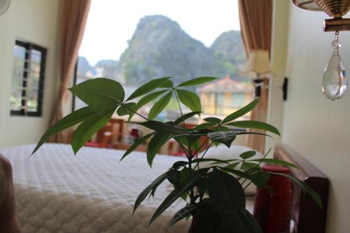 Sierra Homestay in Hoa Lu District Sierra Homestay in Hoa Lu District