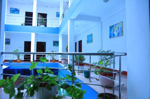 ระเบียง/ชานเรือน, Hotel Nelly Vavuniya in วาวูนิยา ระเบียง/ชานเรือน, Hotel Nelly Vavuniya in วาวูนิยา