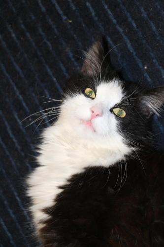 This photo about Hotel du Vanil-Noir shared on HyHotel.com