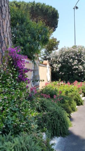 This photo about Hotel Mediterraneo shared on HyHotel.com