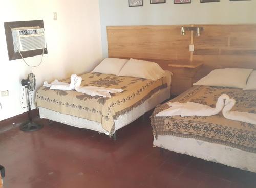 Playa Roca Beach Hotel in 拉斯彭尼塔斯 Playa Roca Beach Hotel in 拉斯彭尼塔斯