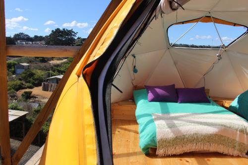 Θέα, Sirena insolente hostel in Πιτσιλεμου Θέα, Sirena insolente hostel in Πιτσιλεμου