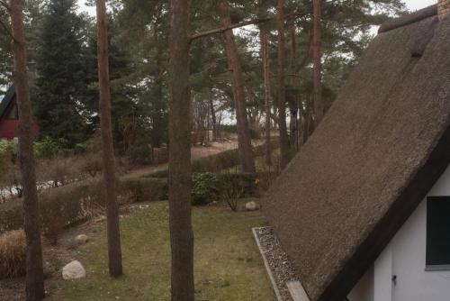 A környék, Reetdach-Ferienhaus in Quilitz in Rankwitz A környék, Reetdach-Ferienhaus in Quilitz in Rankwitz