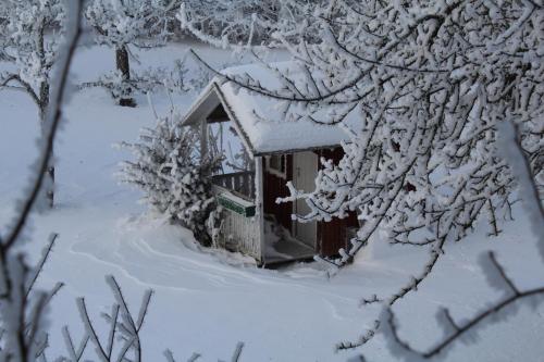 Dārzs, Ferienwohnung Rupp Bergblick & private Sauna in Argenbuhl-Eglofs Dārzs, Ferienwohnung Rupp Bergblick & private Sauna in Argenbuhl-Eglofs