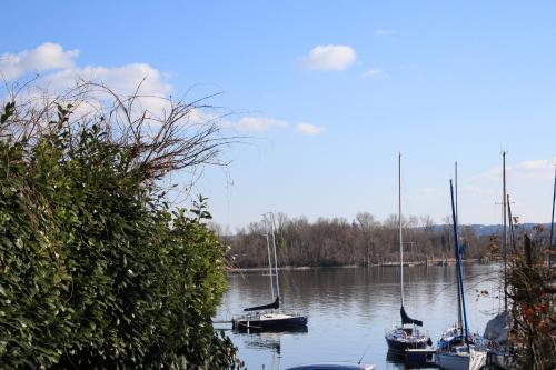 Nearby attraction, Appartamento tra Lago e natura in Sesto Calende Nearby attraction, Appartamento tra Lago e natura in Sesto Calende