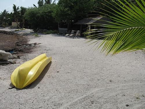 Beach, The Barnacle B&B in Big Pine Key Beach, The Barnacle B&B in Big Pine Key