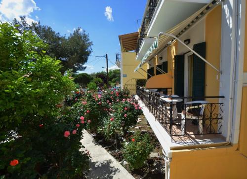 Samaina HOTEL in بيثاجوريو Samaina HOTEL in بيثاجوريو