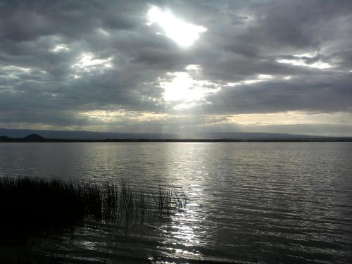 Beach, Cactus Eco Camp and Lodge in Lake Elementaita Beach, Cactus Eco Camp and Lodge in Lake Elementaita