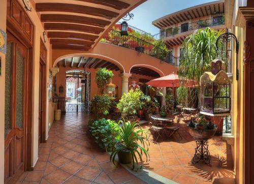 tuin, Hotel Boutique Parador San Miguel Oaxaca in Oaxaca tuin, Hotel Boutique Parador San Miguel Oaxaca in Oaxaca