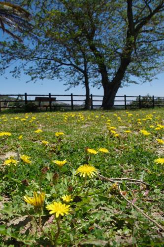 This photo about Kamome nb shared on HyHotel.com