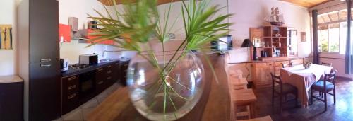 This photo about Lorenzo Guest House shared on HyHotel.com