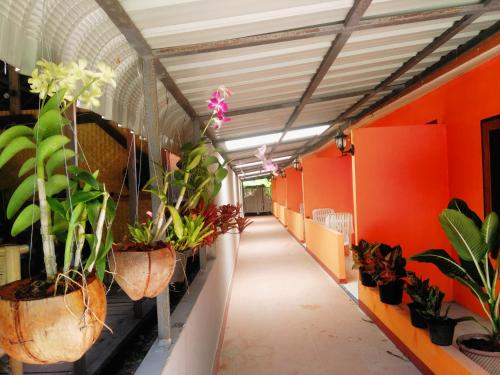 Vista exterior, Phi Phi Coralbay Bungalow in Loh Ba Gao Vista exterior, Phi Phi Coralbay Bungalow in Loh Ba Gao