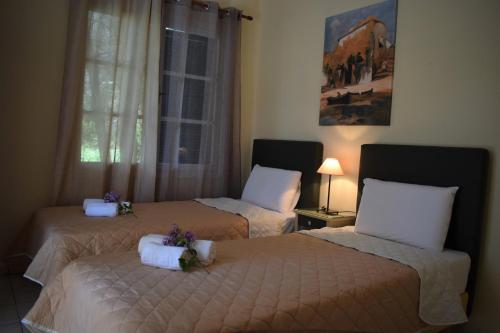 Strophilia Apartments in Koukounaries Beach Strophilia Apartments in Koukounaries Beach