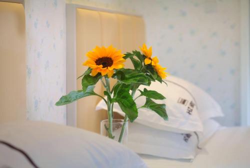 This photo about Care Hotel Sunshine Collection shared on HyHotel.com