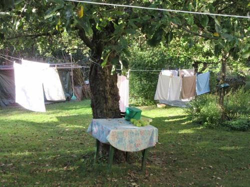 حديقة, Waldpension Muck in Gars Am Kamp حديقة, Waldpension Muck in Gars Am Kamp