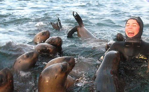 This photo about Bahia Delfines shared on HyHotel.com